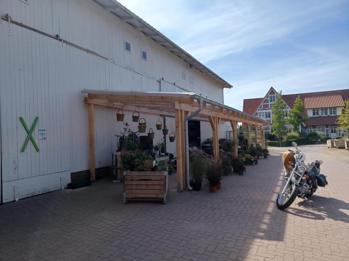 Ferienwohnung Am Elbstrom Stade Exterior foto